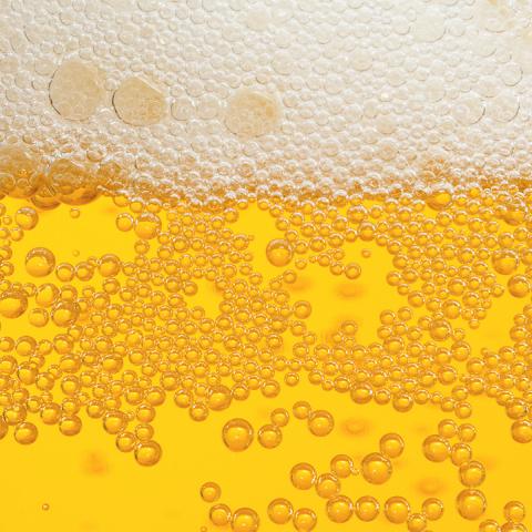Cerveza y Aceite de oliva
