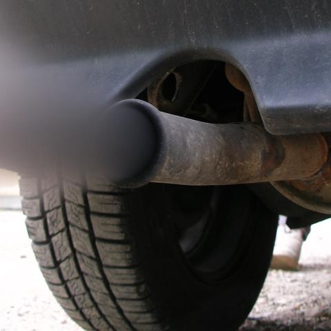 Contaminación