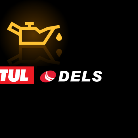 Aceite Motul Dels