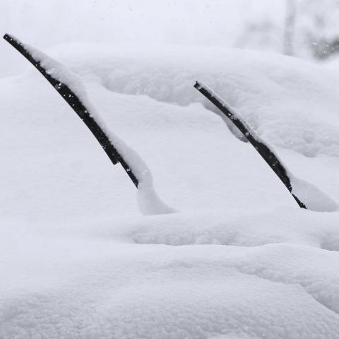 Escobillas nieve