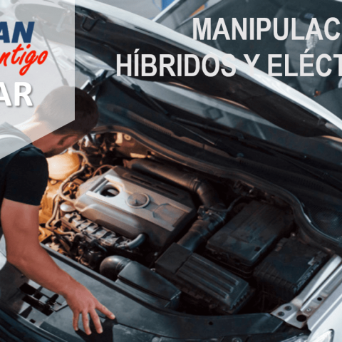 WEBINAR-MANIPULACION-HIBRIDOS-ELECTRICOS WEBINAR-ZF-HIBRIDOS
