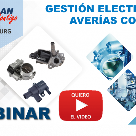 Vídeo PIERBURG: Gestión electrónica