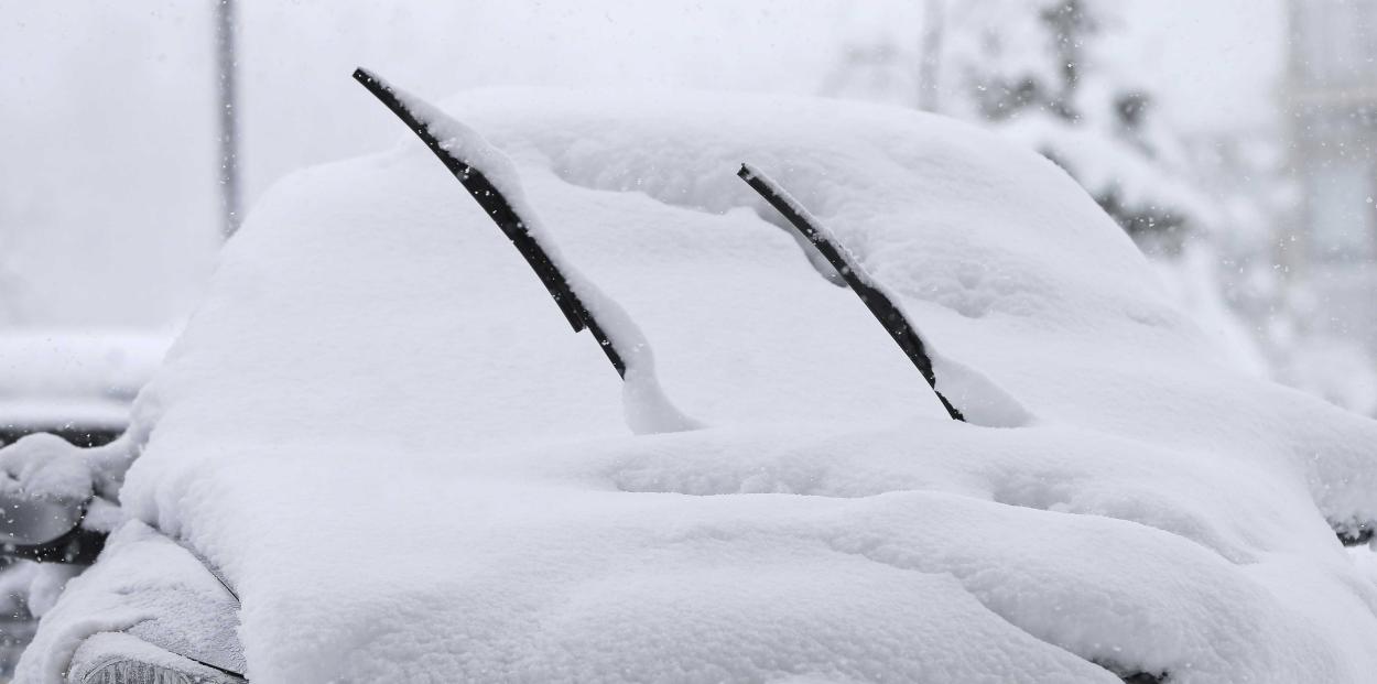 Escobillas nieve